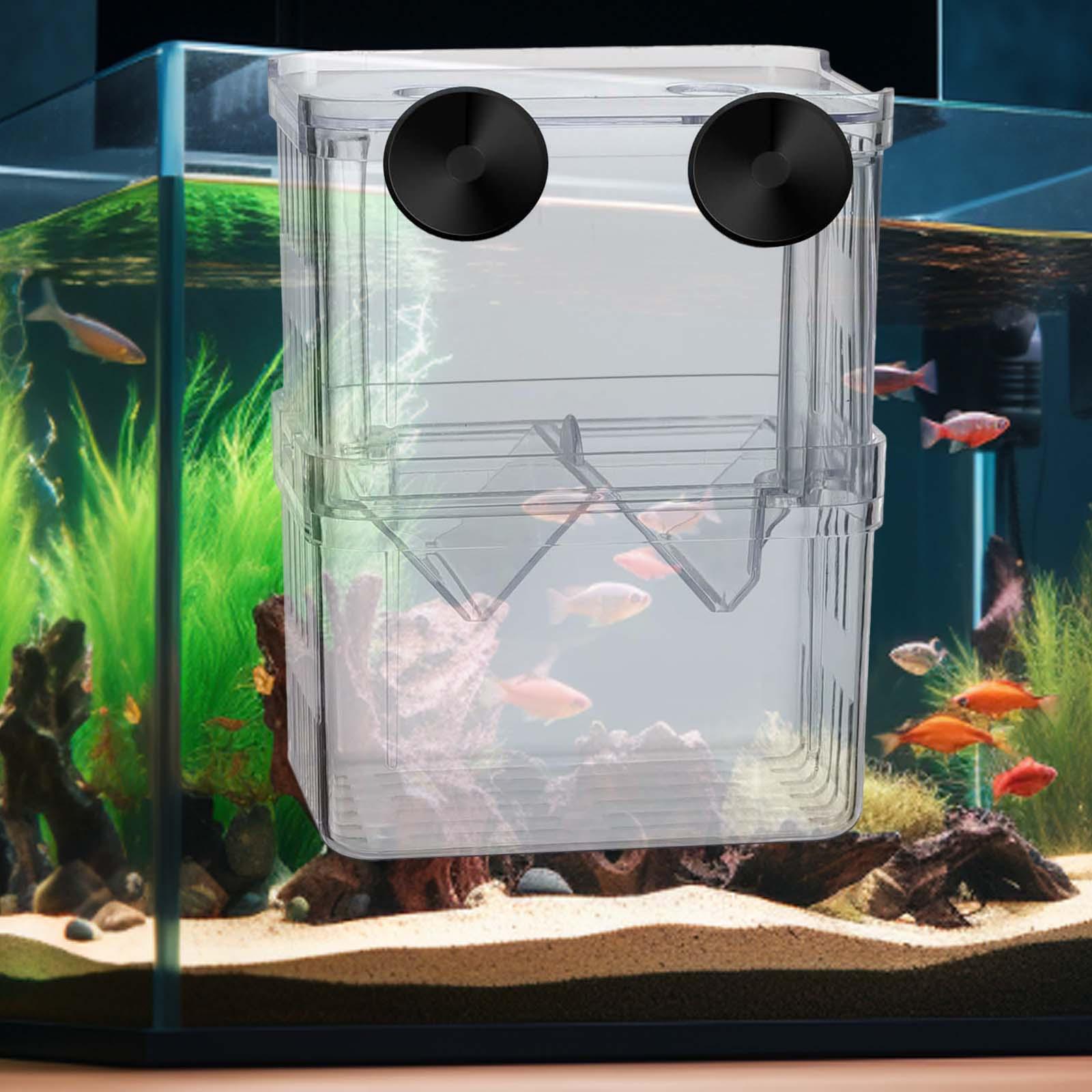 Aquarium tank online shopping best sale