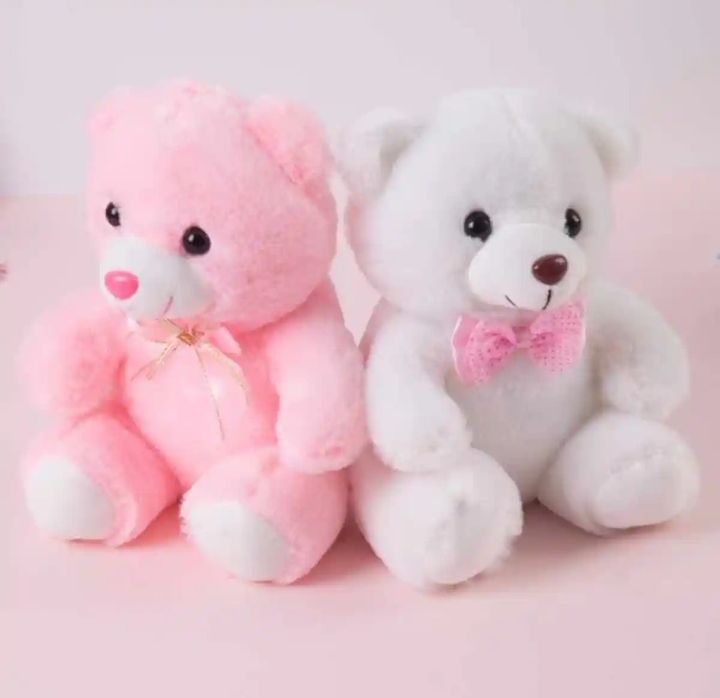 10 inch Teddy bear stuffed animals,Small Baby Bear Plush,Soft Toy For Kids, Boys and Girls