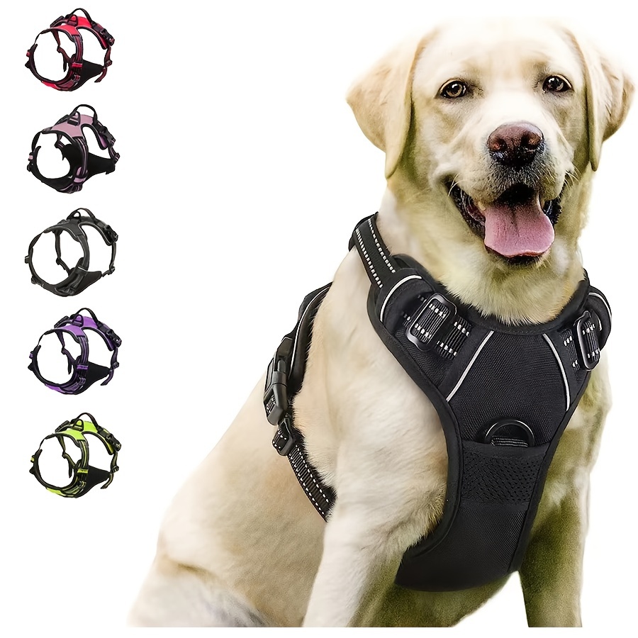 Collar Leash Labrador Dog Neck Belt Dog Belt Labrador Puppy Neck