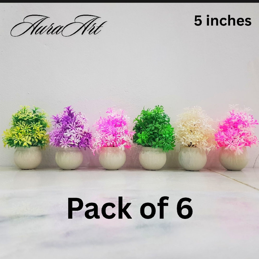 Pack of 3, 5 Artificial Small Plants - 6 Inches High Quality Table Top Decor in White Pots
