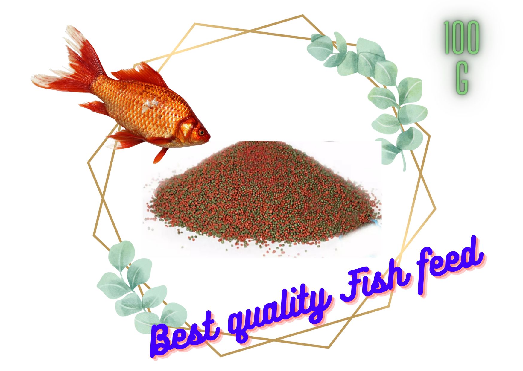 Live aquarium fish food best sale