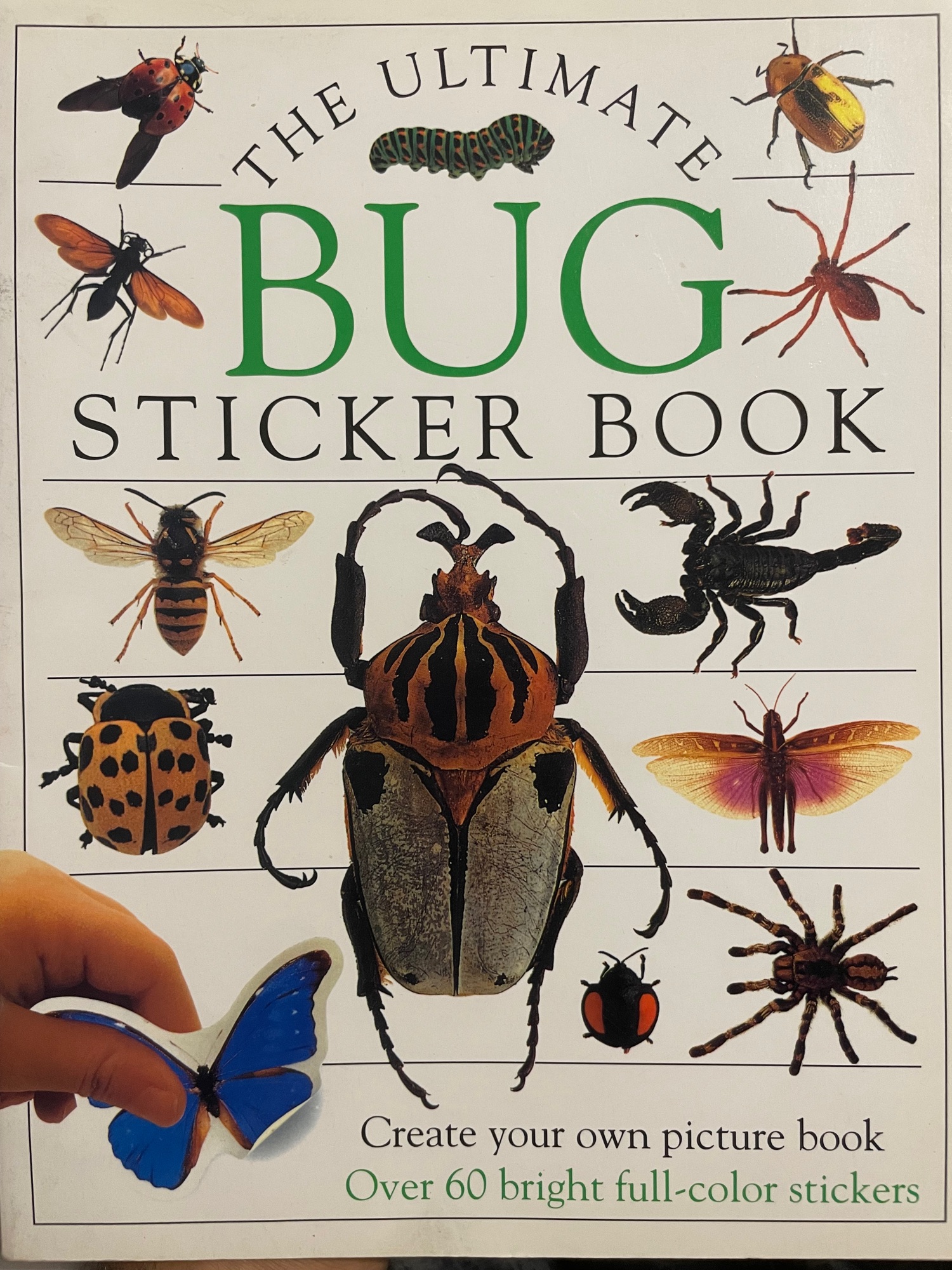 The ultimate bug sticker book | Daraz.pk