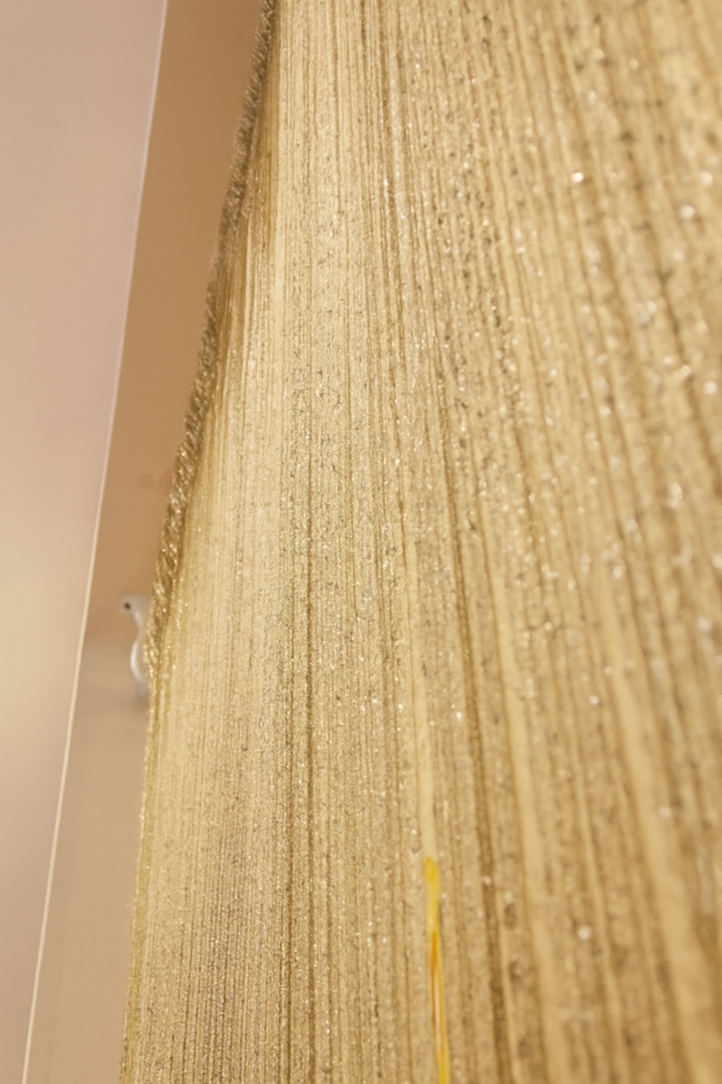 Golden Polyester Tassel String Curtain 200x100 cm for Door Window Room Divider