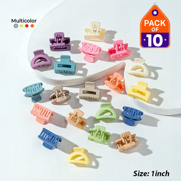 Pack of 2 1 Hair Clip Catchers Cute Multi Mix Design For Hair Style Small Size and Mix Colors Random For Girls And Women