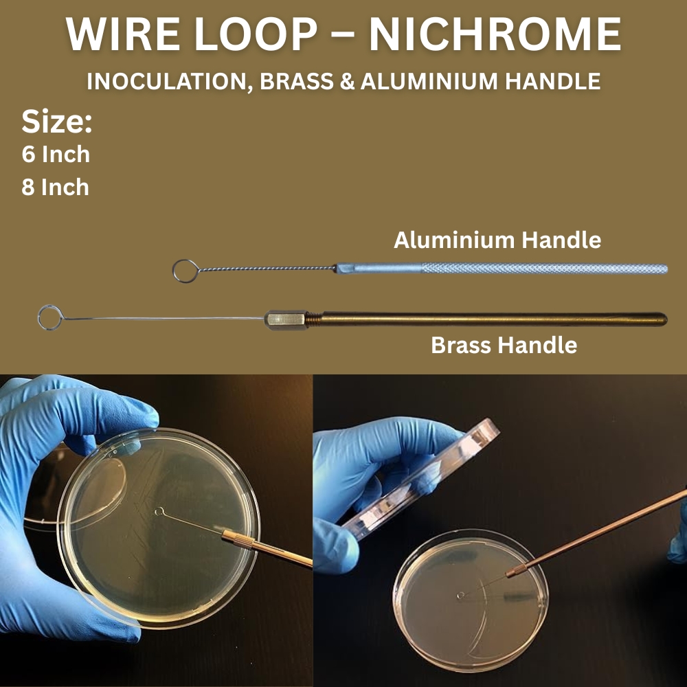 Wire Loop Nichrome Inoculating Tool with Brass and Aluminum Handle Available in 6 Inch or 8 Inch Heat Resistant Wire Loop for Chemistry Biology Study Lab Science and Educational Projects for Bacteria Culture and Microbiology Learning