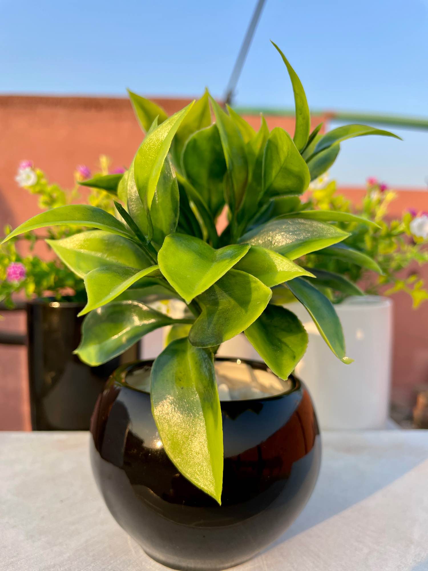 Artificial plant Mini Round Pott Small Greenery Decor For your office table indoor Decor Bedroom shelf and Bathroom