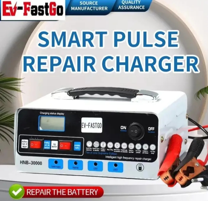 30A Smart Digital Battery Charger 12V/24V Auto Battery Charger Fast Charging for Car, Bike, UPS