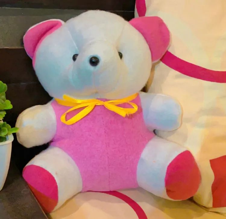 (PK OF 01 & 02) 10 Inch Teddy Bear, Panda Bear and Doll  Pink,Red, Blue and Yellow colour available Plush Stuffed Animal: Adorable Small Baby Bear Plush Toy - Perfect Gift for Kids, Boys, and Girls Discount only for limited time