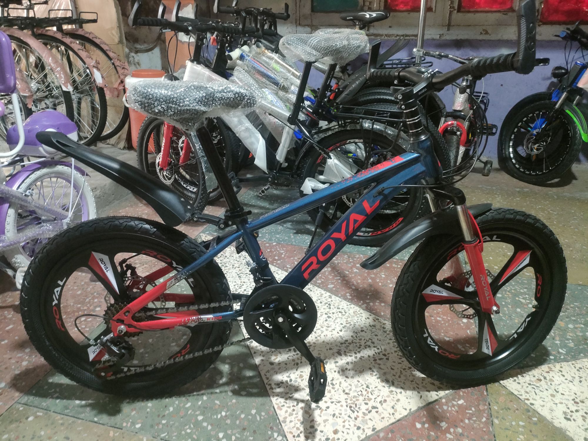 20 inch cycle for 7 to 12 years imported China