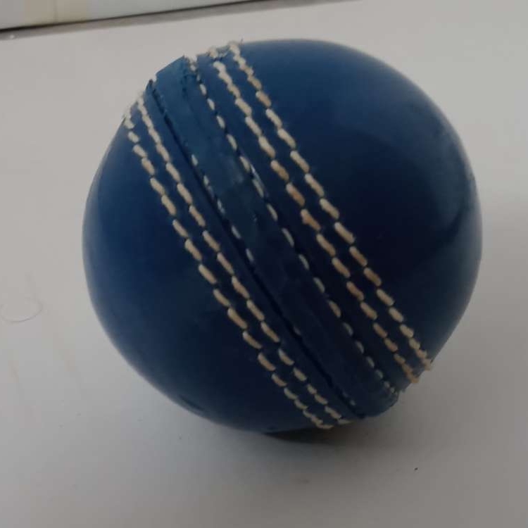 Soft Indoor Practice Cricket Ball Buy Online At Best Prices In