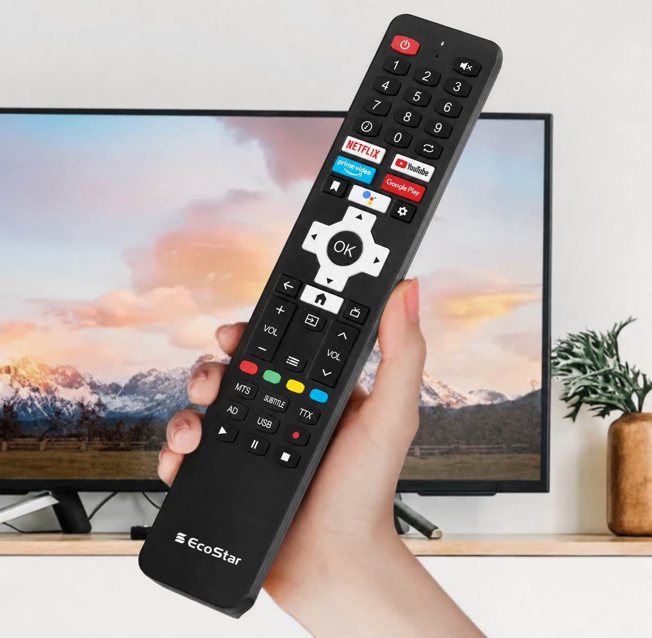 Ecostar LCD / LED Tv Remote control