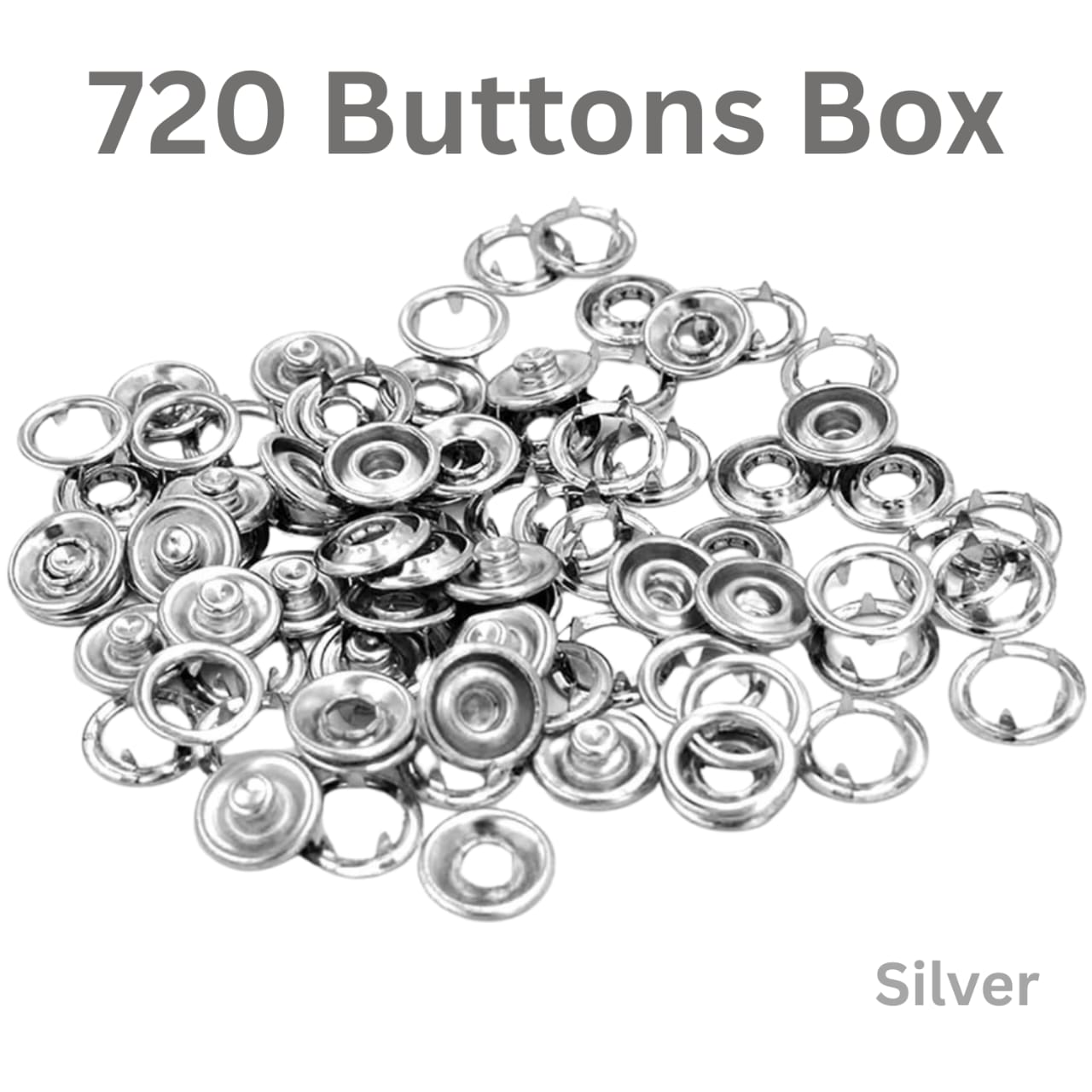 silver_720_box