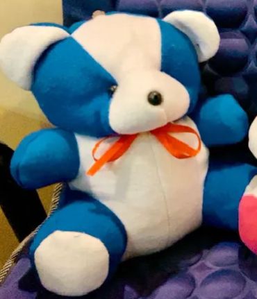 (PK OF 01 & 02) 10 Inch Teddy Bear, Panda Bear and Doll  Pink,Red, Blue and Yellow colour available Plush Stuffed Animal: Adorable Small Baby Bear Plush Toy - Perfect Gift for Kids, Boys, and Girls Discount only for limited time