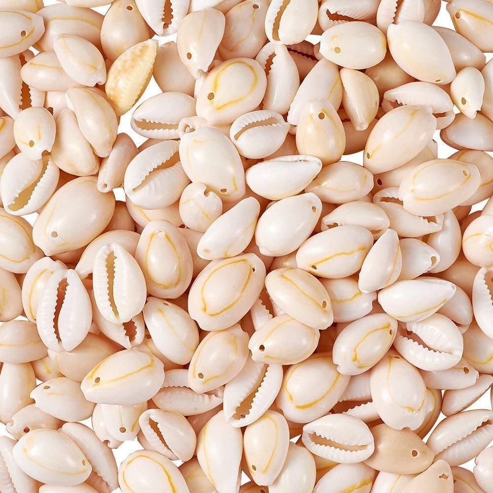 Cowrie Sepiya Pack of 30 Zero-Size Seashell