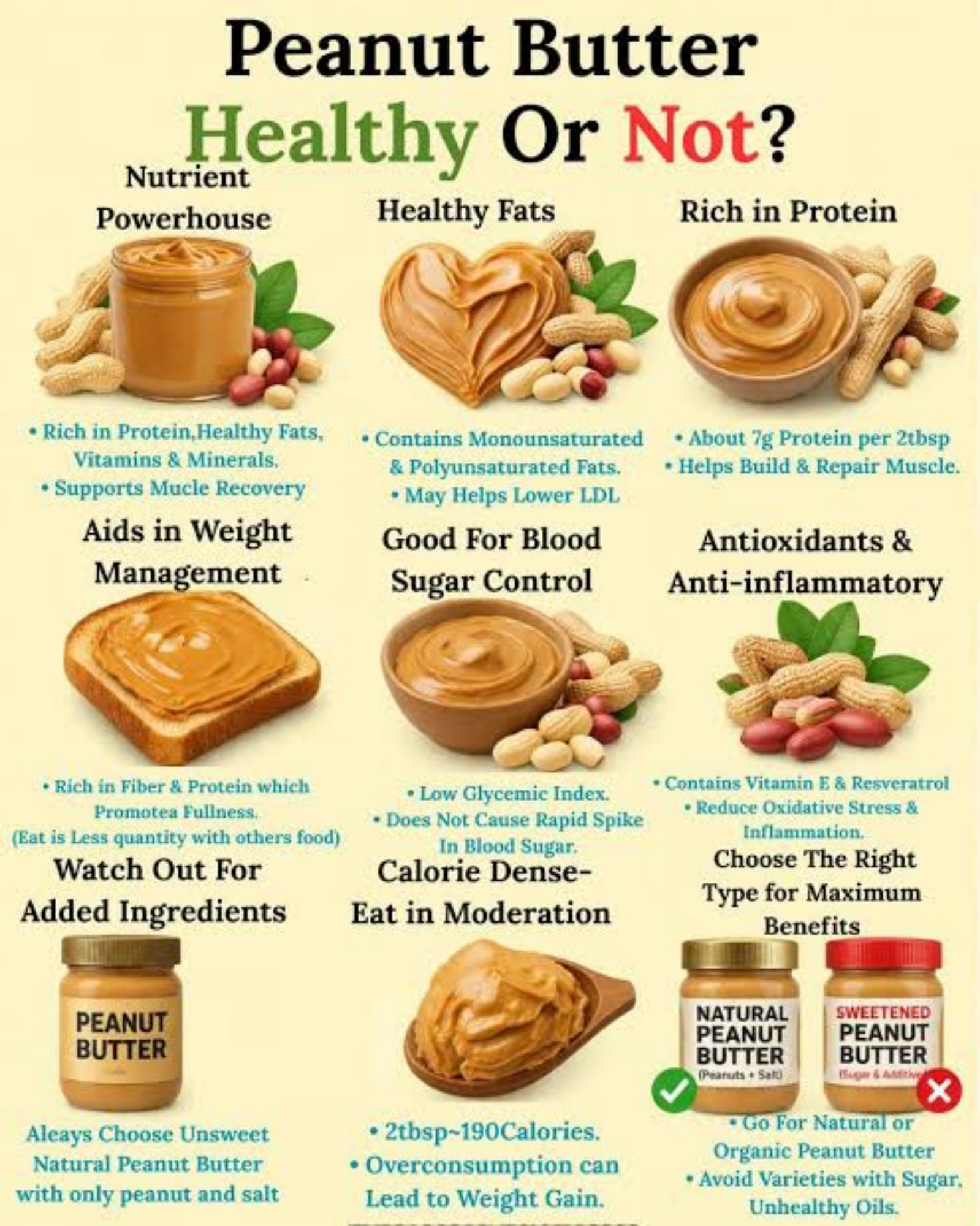 Homemade organic (1KG) Peanut Butter High Protein Sugar-Free | Fresh & Creamy Organic Peanut Butter for Weight Gain & Fitness Diet