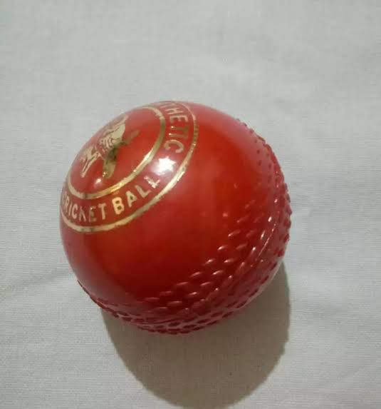 Practice Cricket Hard Ball (Synthetic)