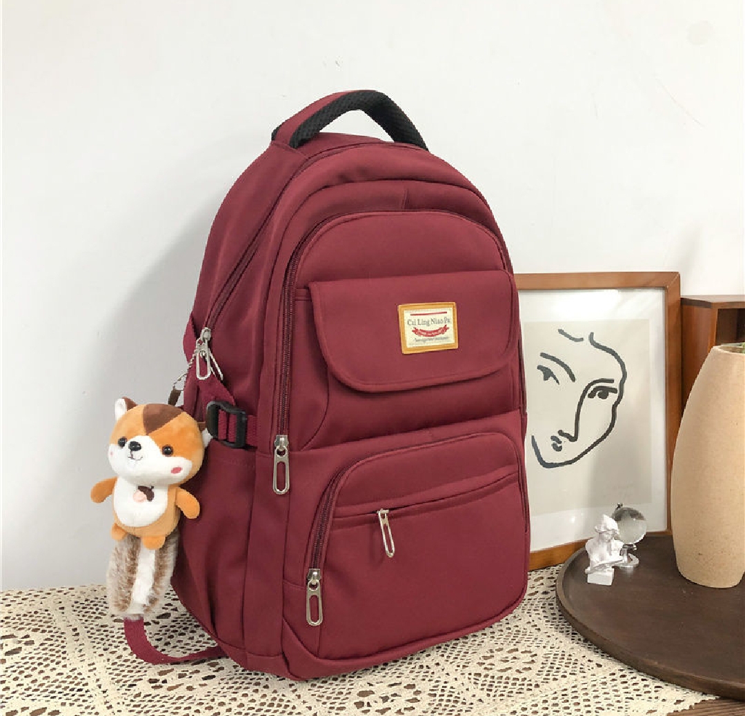 College Style Backpack Big Girls Bag