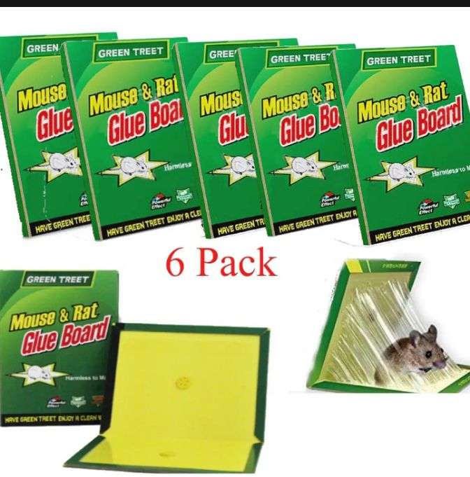 Green Treet – Mouse & Rat Glue Board – Terminix Pakistan