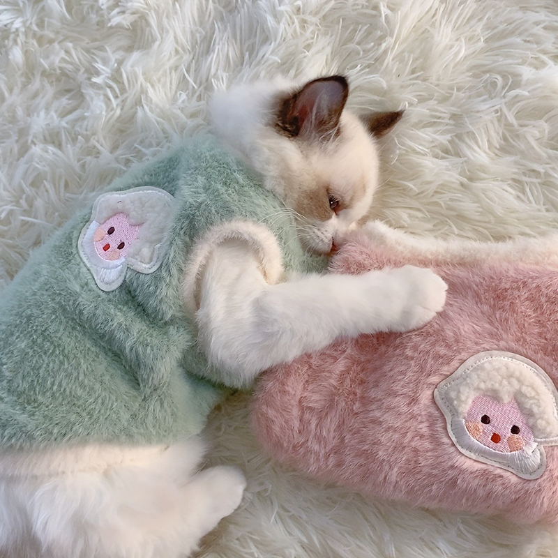 Cat Winter Clothes