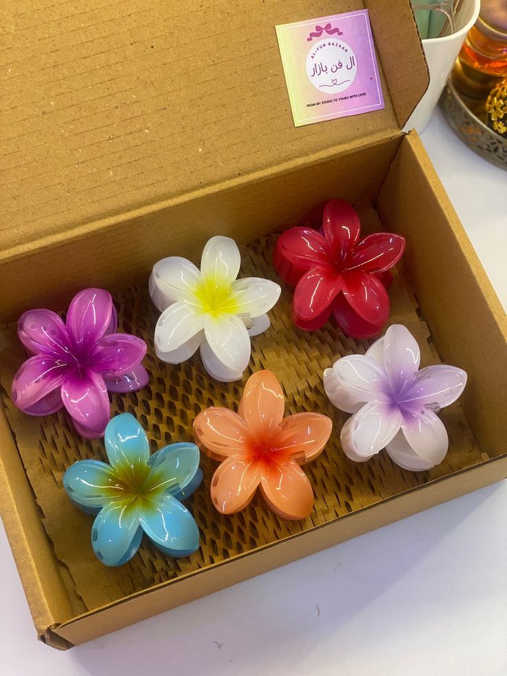 Pack of 6 flower  catcher with box / mini gift hamper / viral flower claws / hair accessories / Pinterest inspired Catcher / aesthetic flower catcher / trendy hair claw / aesthetic gift ideas / Pinterest gift ideas