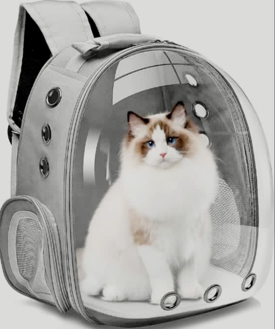 Cat Backpack Carrier - Bubble - ,Large Transparent Pet Backpack Bag - ,Portable - Ventilated Carry Backpack for Cat - Small Dog - Airline Approved Waterproof Pet Carrier Bag - For Hiking Outdoor Use (MULTI COLOUR  )