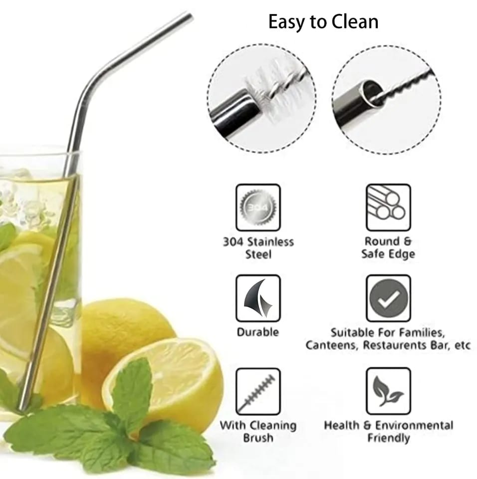 Reusable Metal Straws with Brush