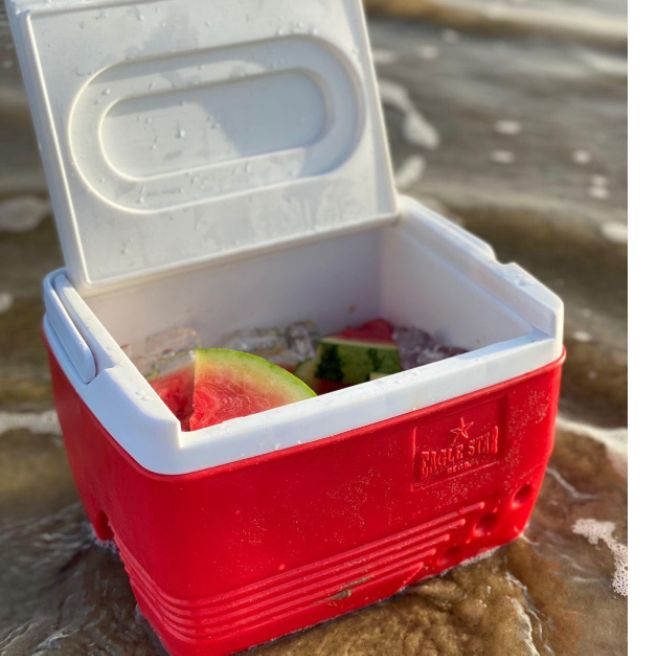 Ice Box Coolers Extra Cooling Rahber Ice Box Cooler portable ideal for hiking and camping