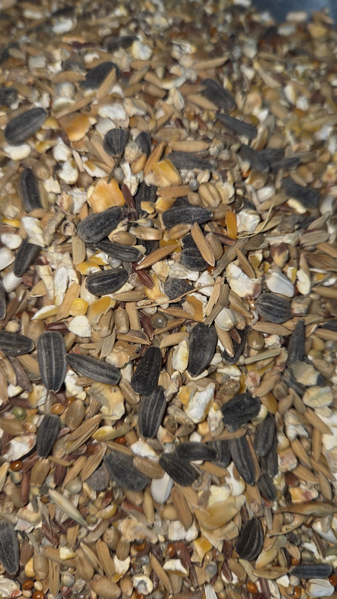 Rabbit Food, Rabbit Seed Mix Food, all ages, 1kg | Daraz.pk
