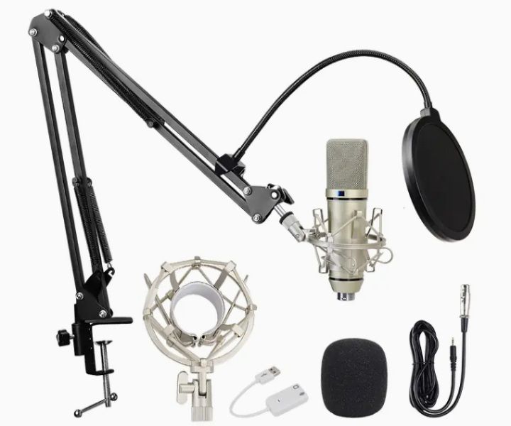 BM-800 Silver Professional Condenser Microphone (Requires phantom