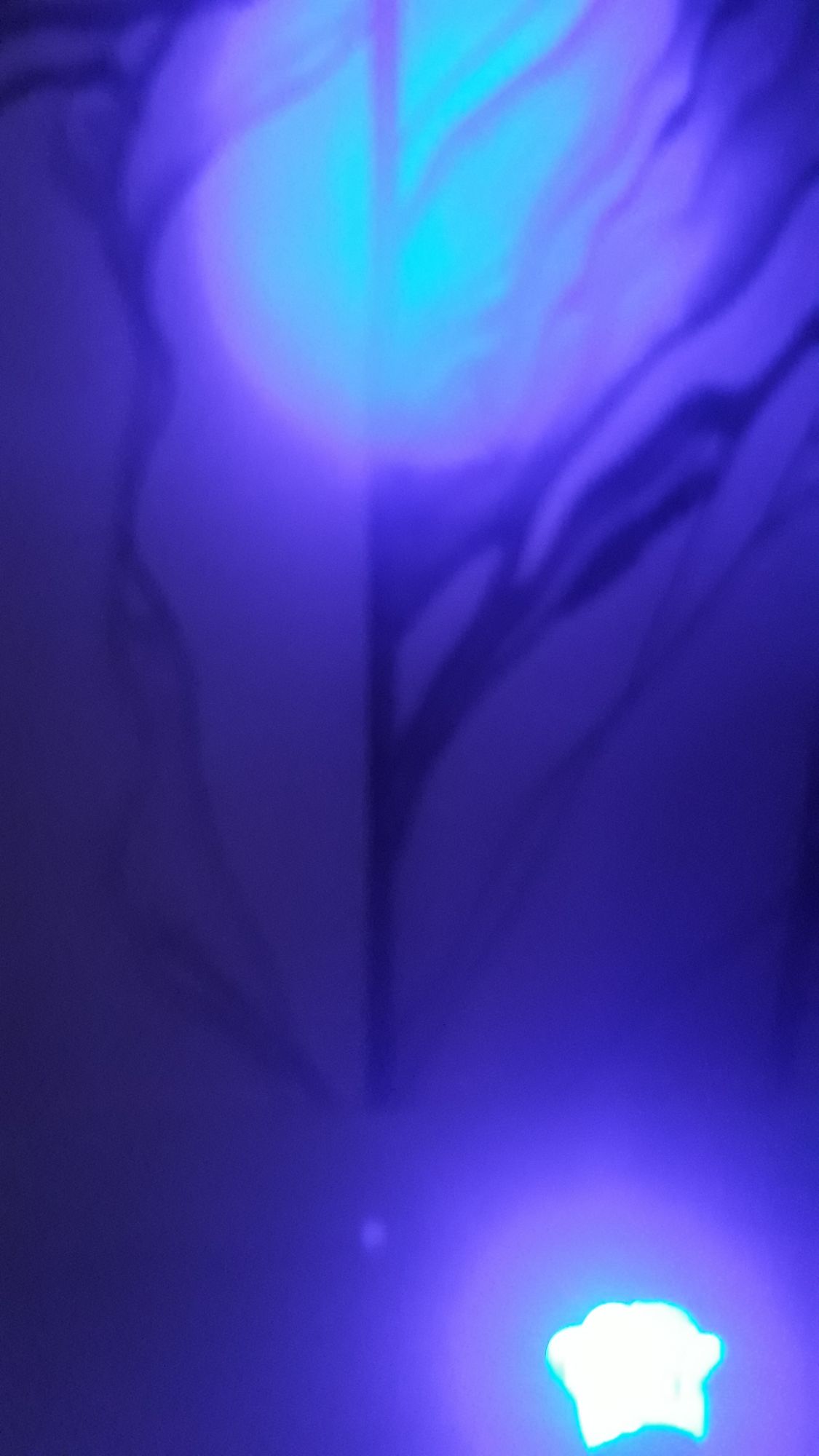 Raser light for kids with red,blue lights and flashers