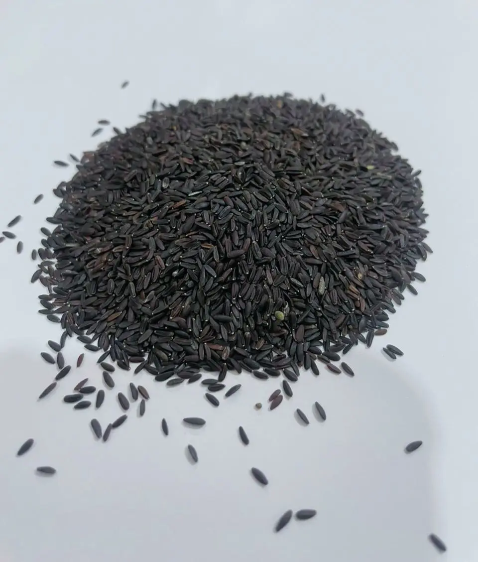 Tukhmalanga Basil Seeds Top qulaity 500Gram