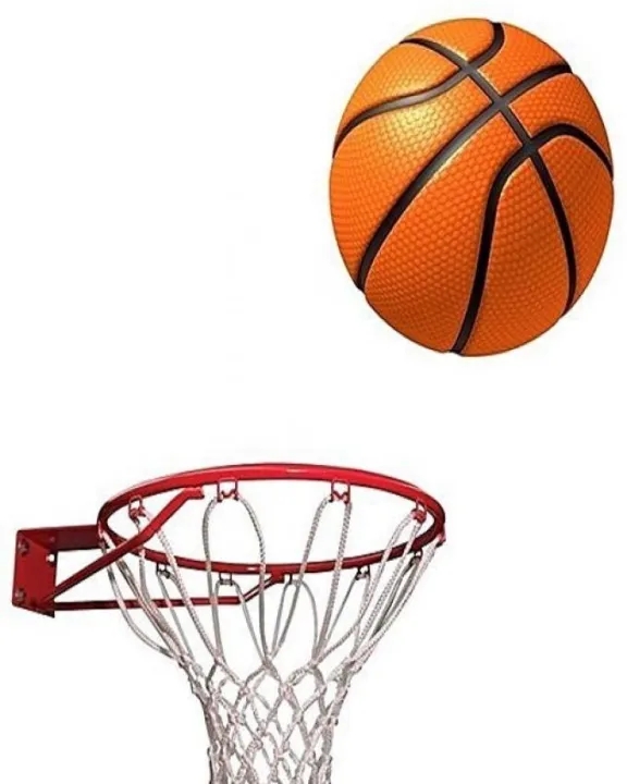 Gold star Basket Ball With Net and Ring - Standard Size