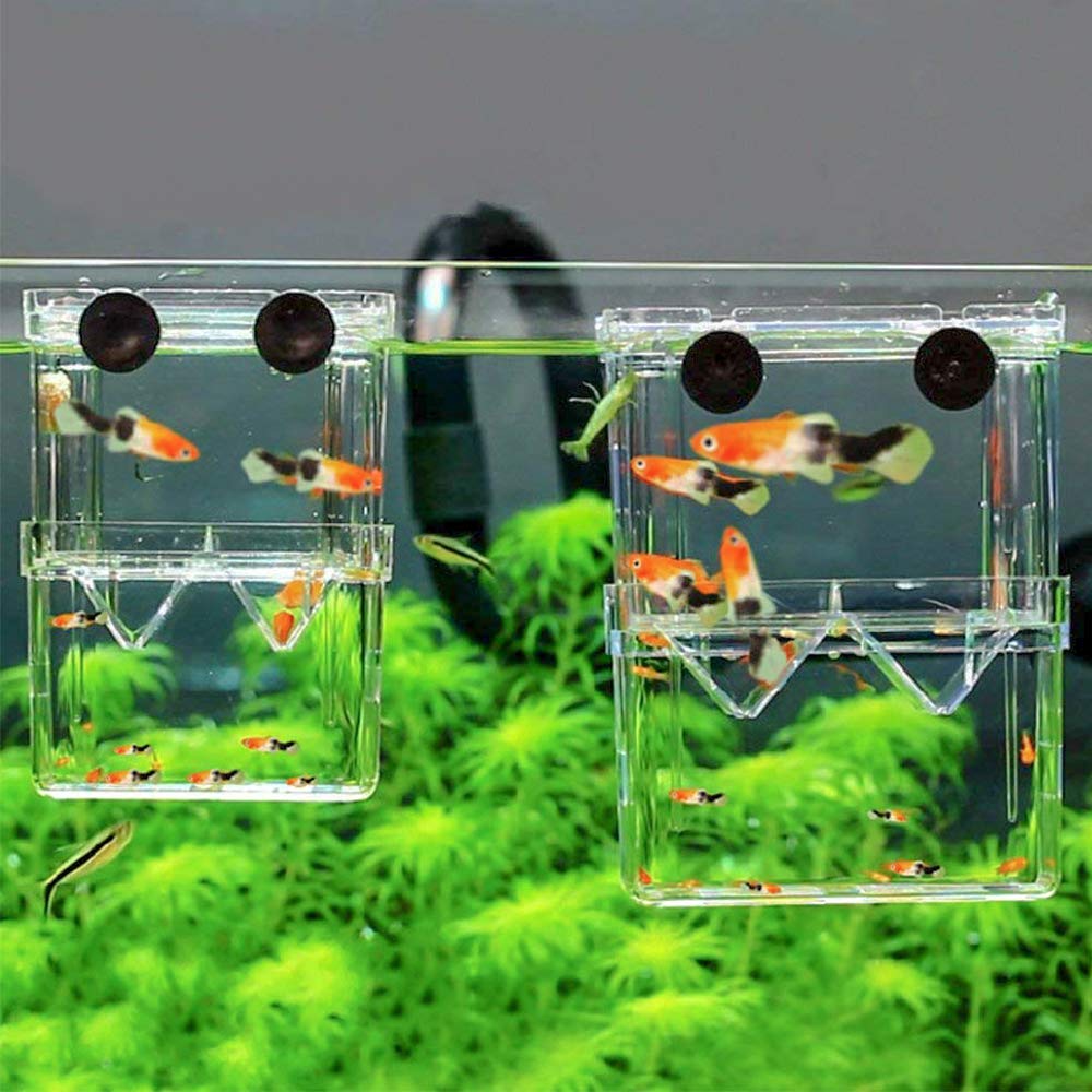 Buy Aquariums Online at Best Price in Pakistan Daraz.pk