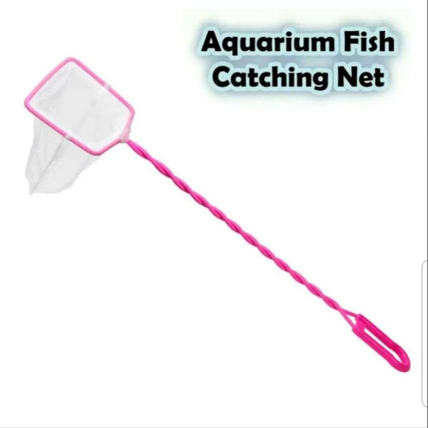  Foldable Fishing Net Hand Net - Crab Net Fish Net with Fishing  Rope for Fishes, Shrimps, Crabs : Sports & Outdoors