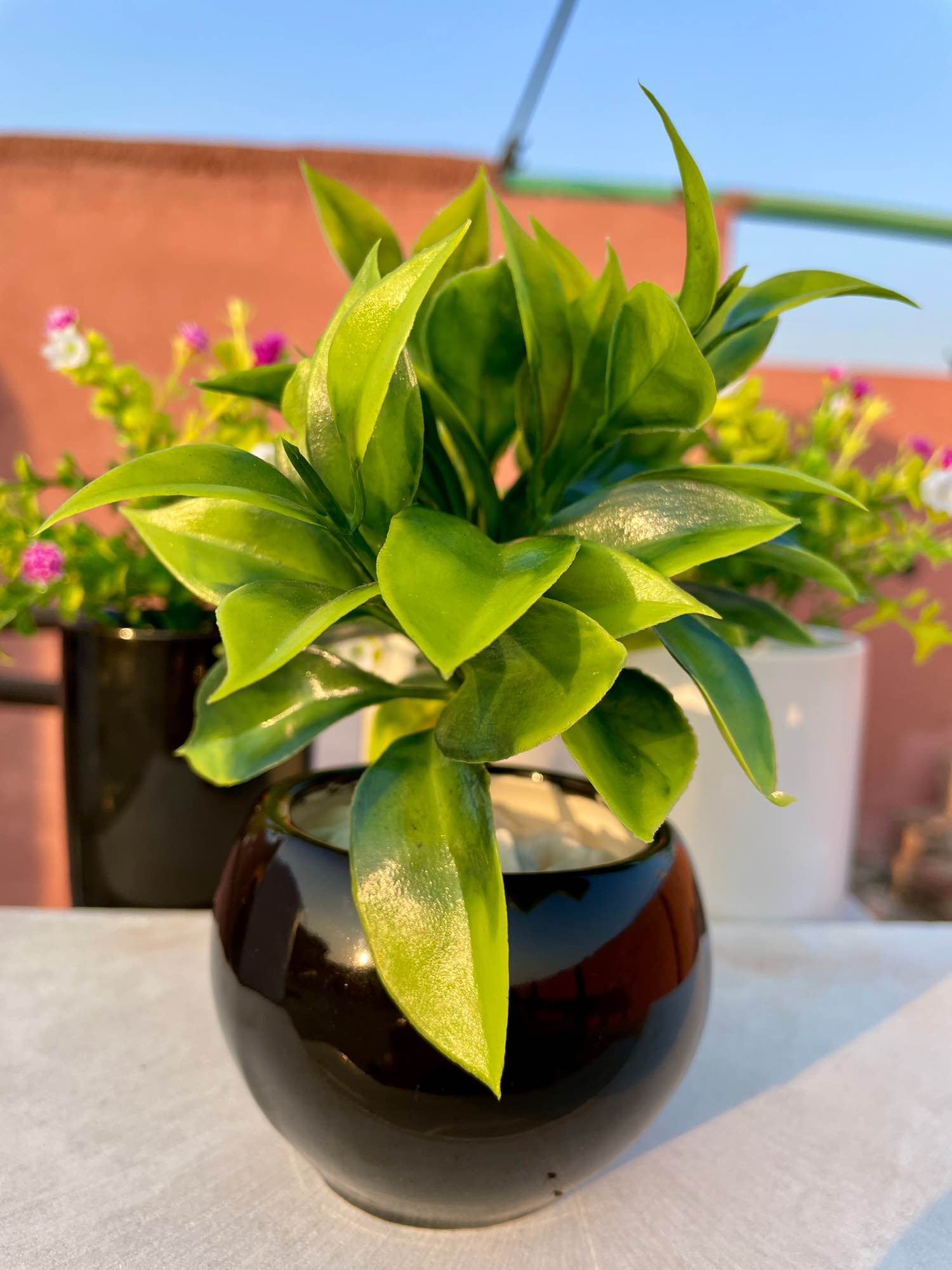 Artificial plant Mini Round Pott Small Greenery Decor For your office table indoor Decor Bedroom shelf and Bathroom