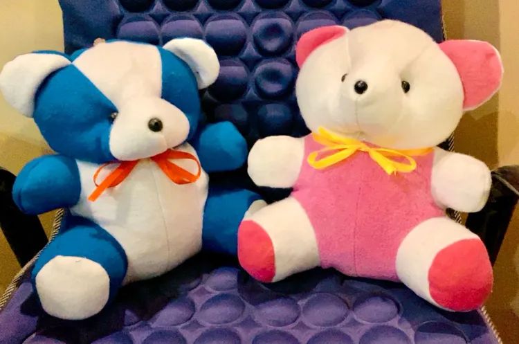 (PK OF 01 & 02) 10 Inch Teddy Bear, Panda Bear and Doll  Pink,Red, Blue and Yellow colour available Plush Stuffed Animal: Adorable Small Baby Bear Plush Toy - Perfect Gift for Kids, Boys, and Girls Discount only for limited time