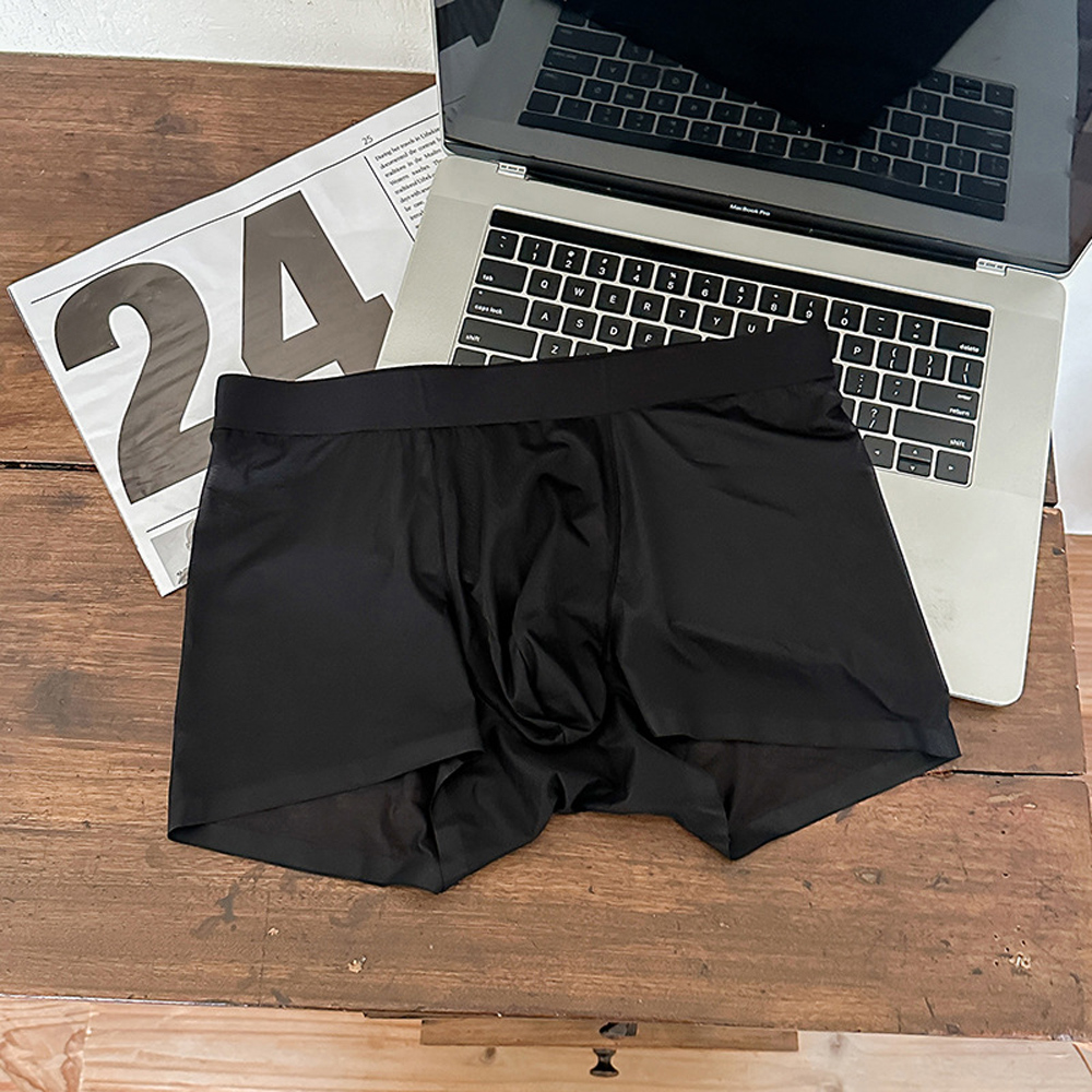 Mens Ice Silk Underwear Seamless Transparent Boxer Shorts  Ultra-thin Breathable Panties Male Quick Dry U Pouch Underpants