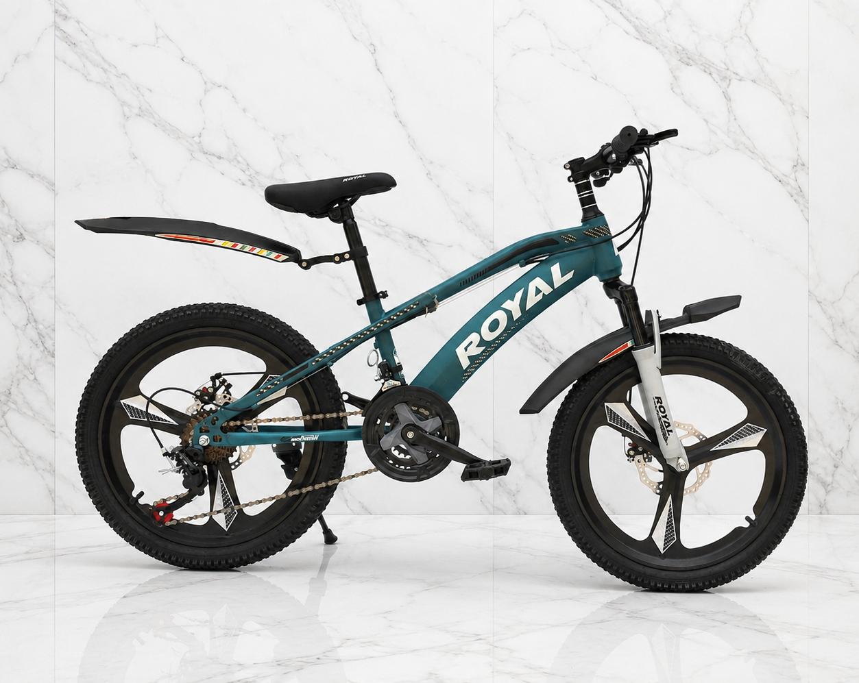 20 inch cycle with 10 gears 7 back 3 Front Front Shock imported China