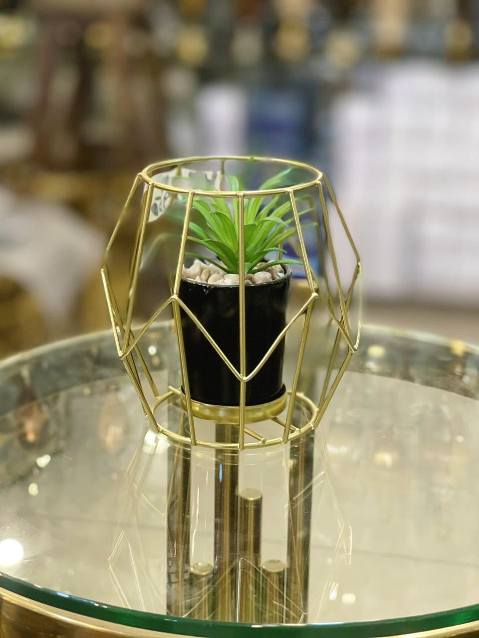 Decorative Metal Cage with Artificial Plant Daraz.pk