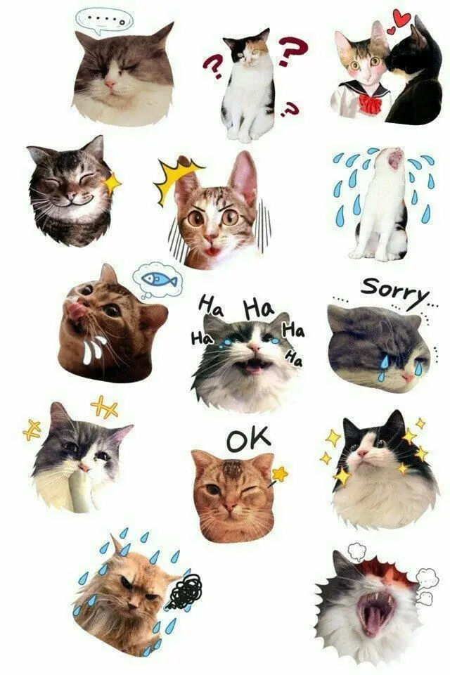 8 Relatable Cat Stickers