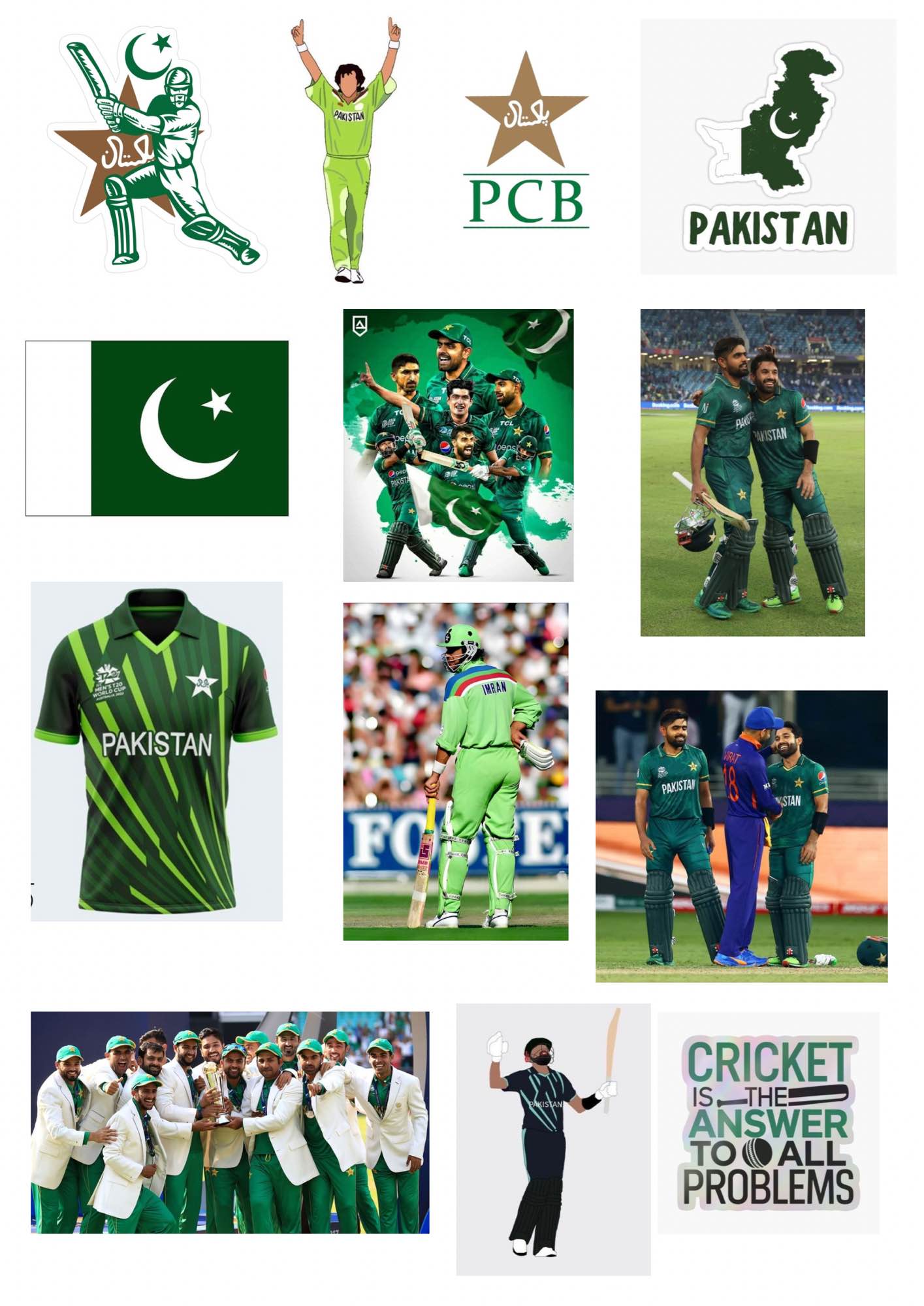 Sticker for cricket lover 5,9,13 pcs sets of pakistan cricket team