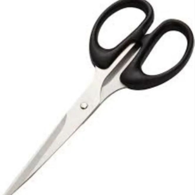 Deli_classic Scissors Stainless Steel Fine Quality Scissors