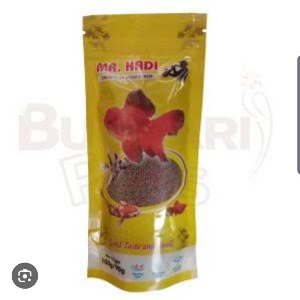 Fish food 100gm Mr hadi