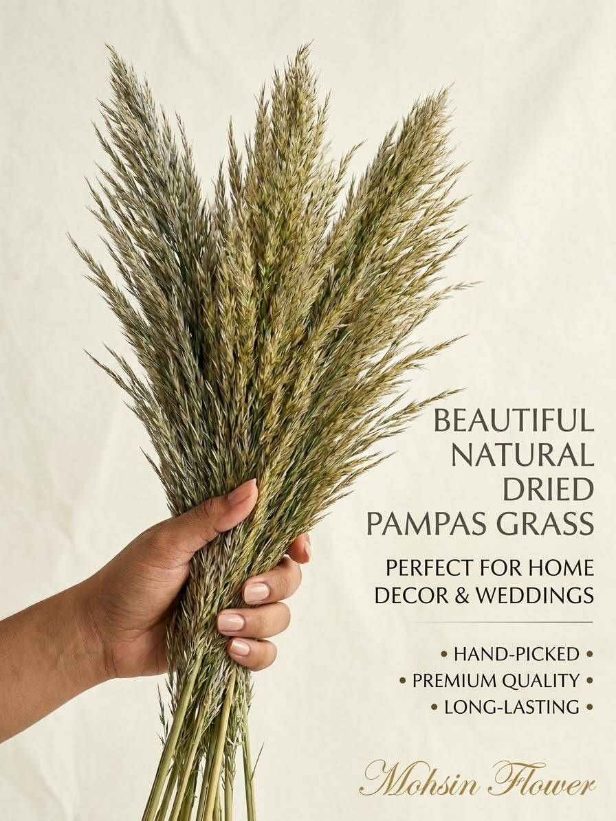 Brown Color Pampas grass Stuff stem puffy luxury premium Quality Stem