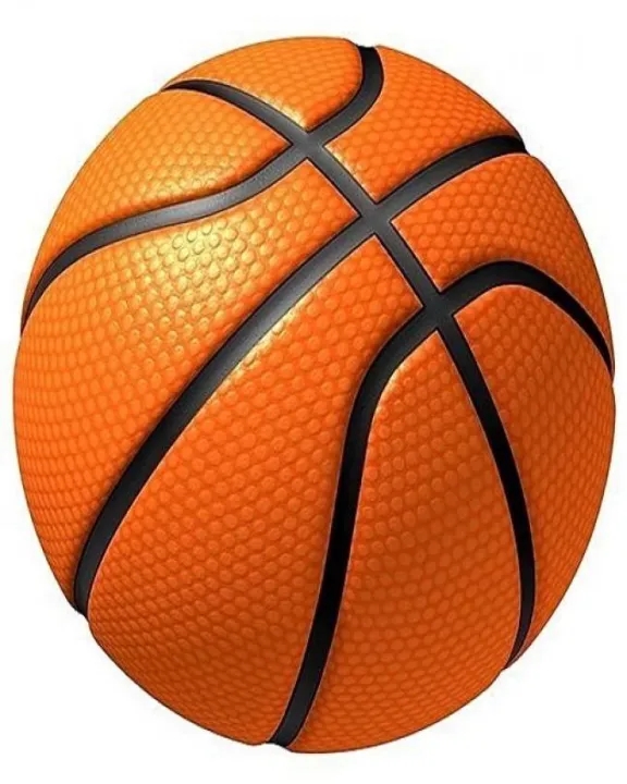 Gold star Basket Ball With Net and Ring - Standard Size