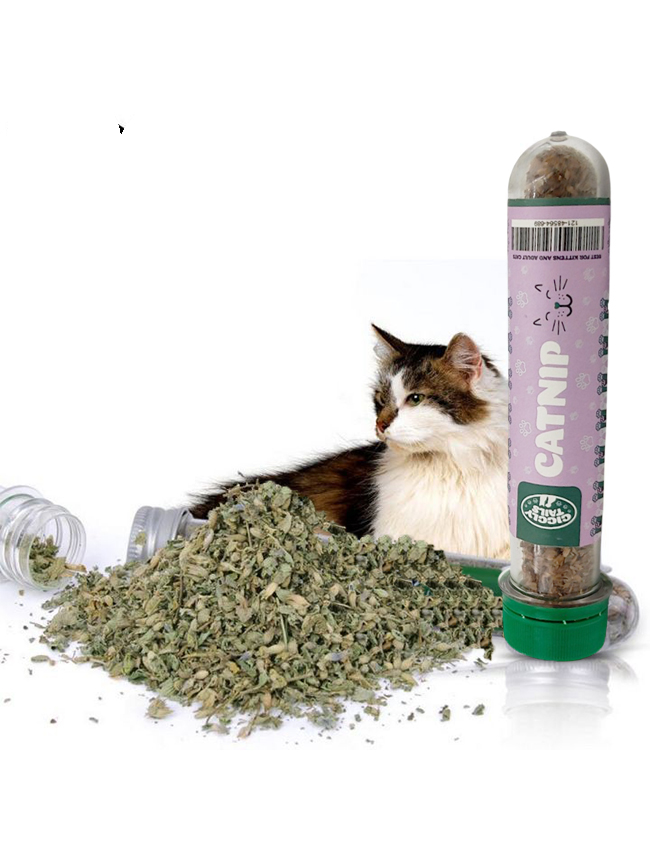 Catnip (Large)