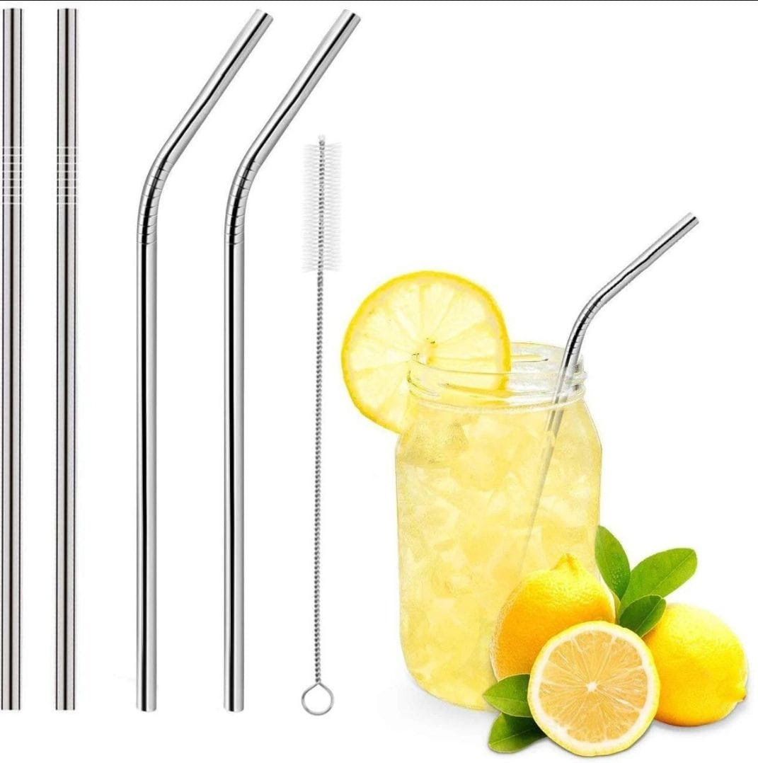 Reusable Metal Straws with Brush