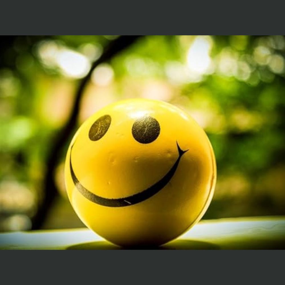 Hand Exercise Physio Ball Smiley Face Soft Grip Stress Relief Ball with Box 63mm 76mm Size 1 to 6 Pcs for Finger Training Hand Grip Strength Relaxation Dexterity Practice for Home Office Study School Educational Learning Science & Fitness Activity Medipro
