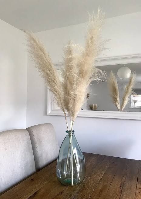 Brown Color Pampas grass Stuff stem puffy luxury premium Quality Stem