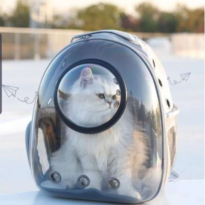 Cat Backpack Carrier - Bubble - ,Large Transparent Pet Backpack Bag - ,Portable - Ventilated Carry Backpack for Cat - Small Dog - Airline Approved Waterproof Pet Carrier Bag - For Hiking Outdoor Use ( MULTI COLOUR )